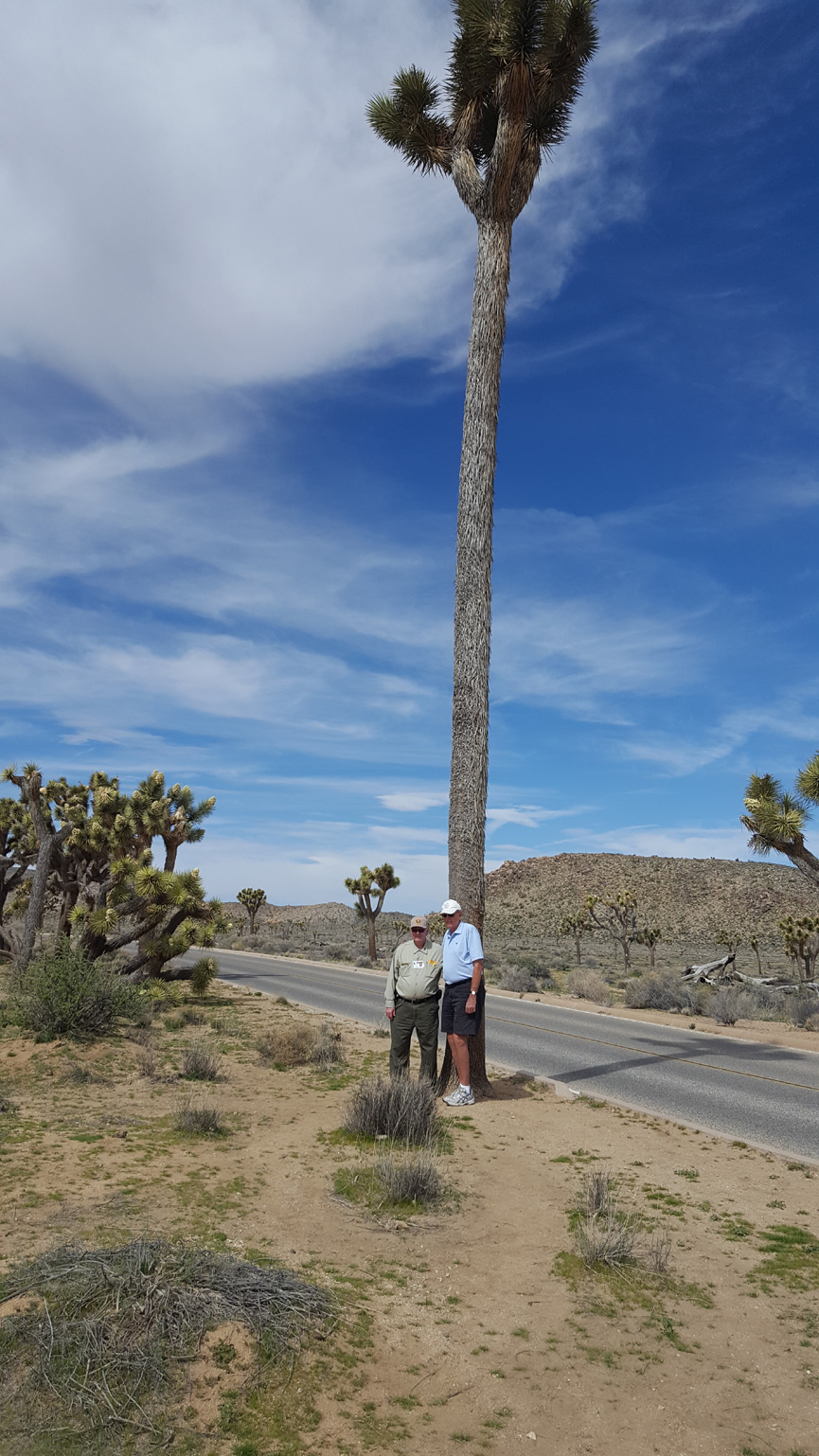 Tallest Joshua Tree with Jerry Seaburg and Dick Savage